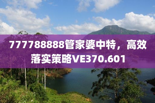 777788888管家婆中特，高效落实策略VE370.601