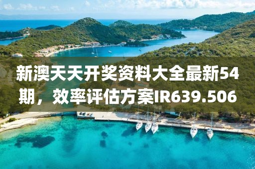 新澳天天开奖资料大全最新54期，效率评估方案IR639.506