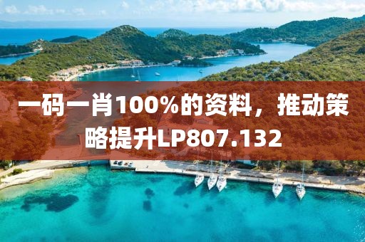 一码一肖100%的资料，推动策略提升LP807.132