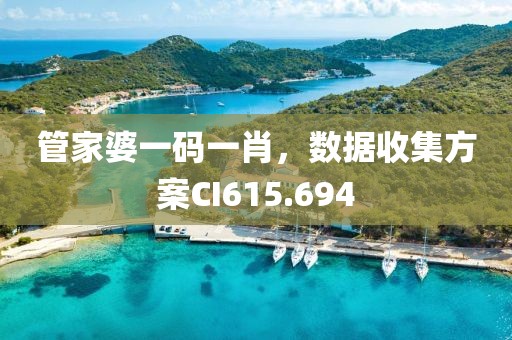 管家婆一码一肖，数据收集方案CI615.694