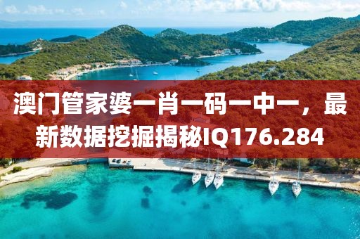 澳门管家婆一肖一码一中一，最新数据挖掘揭秘IQ176.284