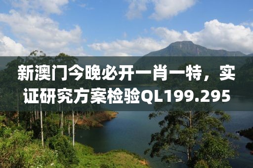 新澳门今晚必开一肖一特，实证研究方案检验QL199.295