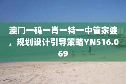 澳门一码一肖一特一中管家婆，规划设计引导策略YN516.069