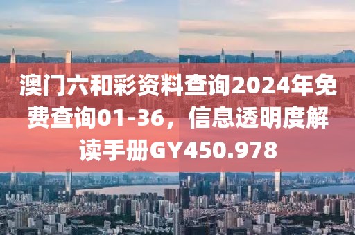 澳门六和彩资料查询2024年免费查询01-36，信息透明度解读手册GY450.978
