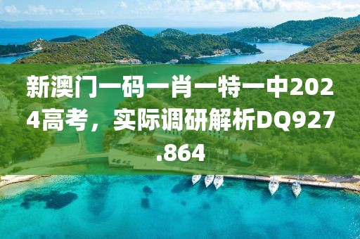 新澳门一码一肖一特一中2024高考，实际调研解析DQ927.864