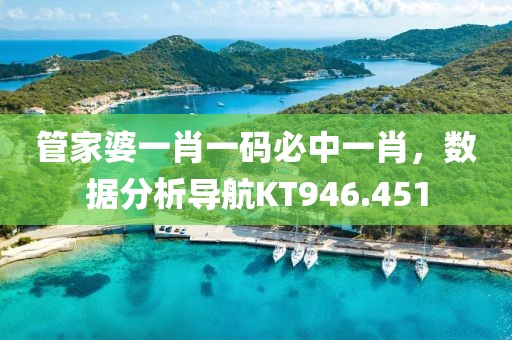 管家婆一肖一码必中一肖，数据分析导航KT946.451