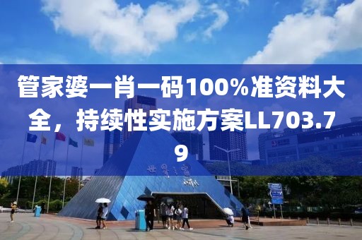 管家婆一肖一码100%准资料大全，持续性实施方案LL703.79