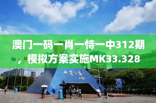 澳门一码一肖一恃一中312期，模拟方案实施MK33.328