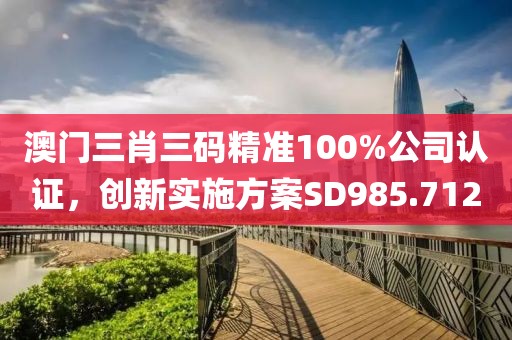 澳门三肖三码精准100%公司认证，创新实施方案SD985.712