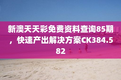 新澳天天彩免费资料查询85期，快速产出解决方案CK384.582