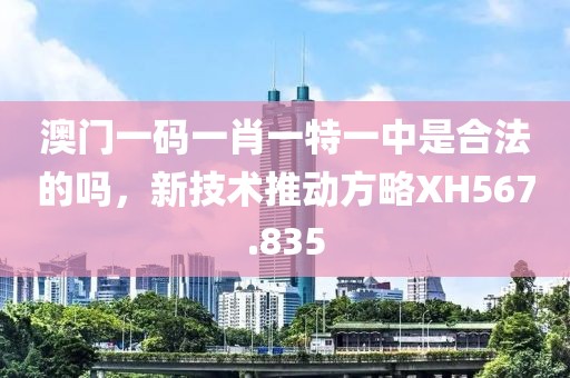 澳门一码一肖一特一中是合法的吗，新技术推动方略XH567.835