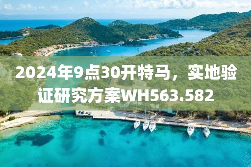 2024年9点30开特马，实地验证研究方案WH563.582