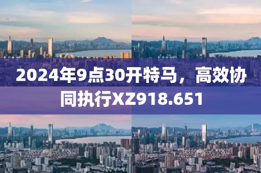 2024年9点30开特马，高效协同执行XZ918.651