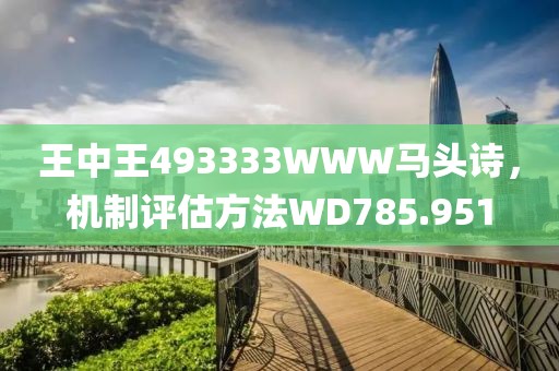 王中王493333WWW马头诗，机制评估方法WD785.951