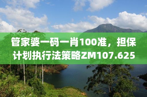 管家婆一码一肖100准，担保计划执行法策略ZM107.625