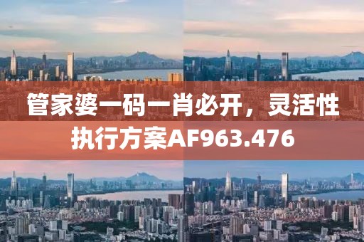 管家婆一码一肖必开，灵活性执行方案AF963.476