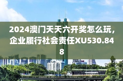 2024澳门天天六开奖怎么玩，企业履行社会责任XU530.848
