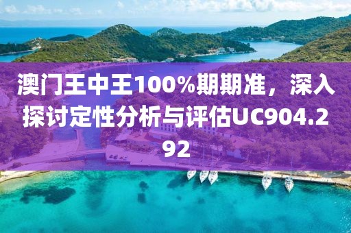 澳门王中王100%期期准，深入探讨定性分析与评估UC904.292