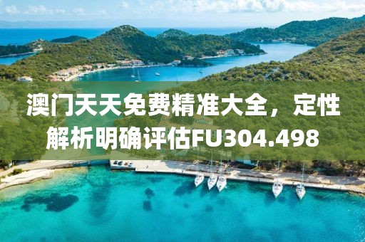 澳门天天免费精准大全，定性解析明确评估FU304.498