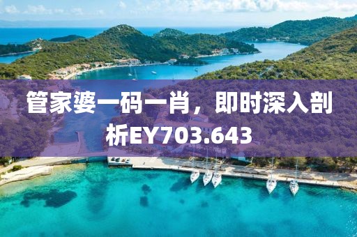 管家婆一码一肖，即时深入剖析EY703.643