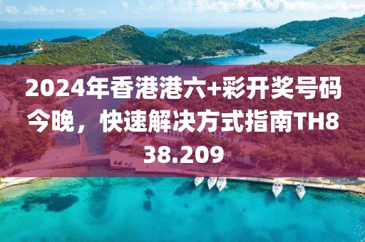 2024年香港港六+彩开奖号码今晚，快速解决方式指南TH838.209