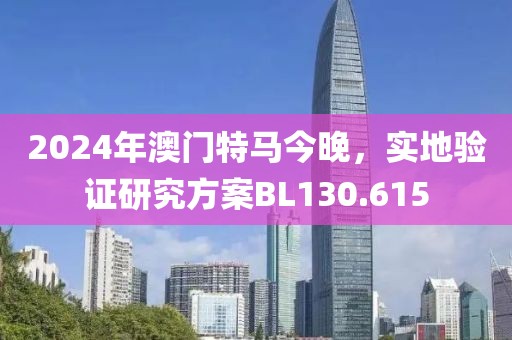 2024年澳门特马今晚，实地验证研究方案BL130.615