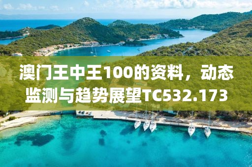 澳门王中王100的资料，动态监测与趋势展望TC532.173
