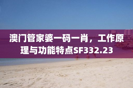 澳门管家婆一码一肖，工作原理与功能特点SF332.23
