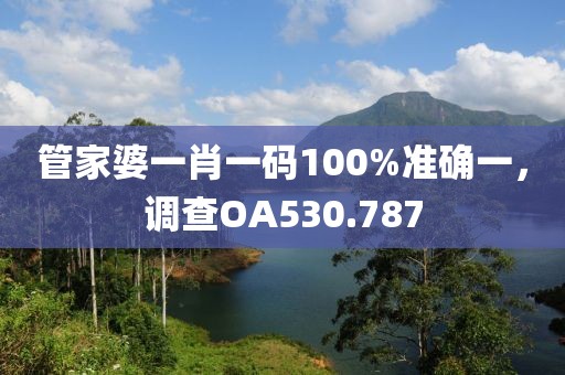 管家婆一肖一码100%准确一，调查OA530.787