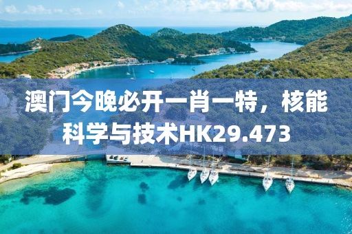 澳门今晚必开一肖一特，核能科学与技术HK29.473