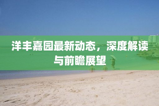 洋丰嘉园最新动态，深度解读与前瞻展望