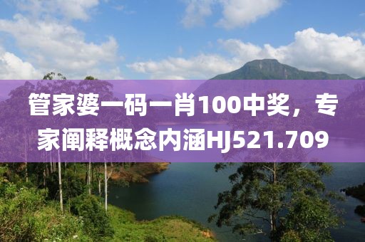 管家婆一码一肖100中奖，专家阐释概念内涵HJ521.709
