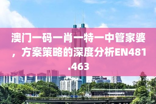 澳门一码一肖一特一中管家婆，方案策略的深度分析EN481.463