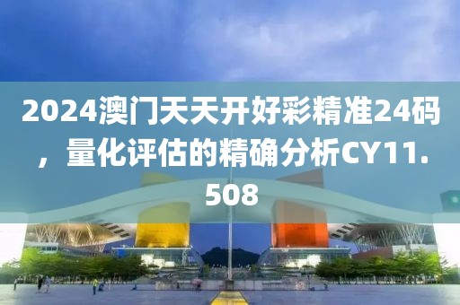 2024澳门天天开好彩精准24码，量化评估的精确分析CY11.508