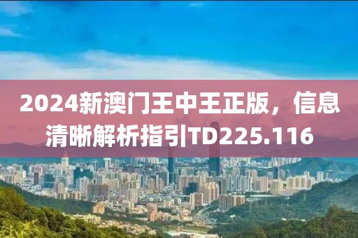 2024新澳门王中王正版，信息清晰解析指引TD225.116