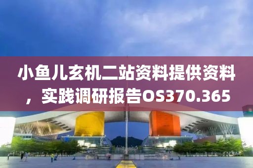 小鱼儿玄机二站资料提供资料，实践调研报告OS370.365