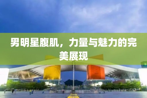 男明星腹肌，力量与魅力的完美展现