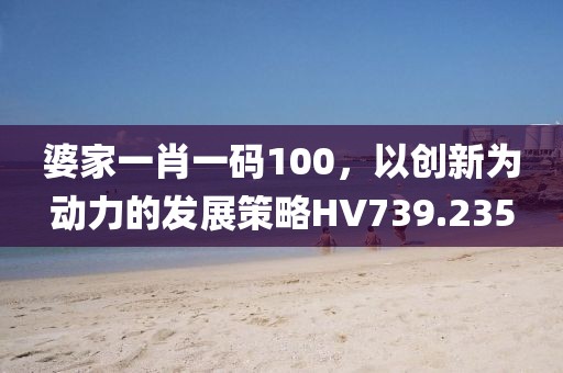 婆家一肖一码100，以创新为动力的发展策略HV739.235