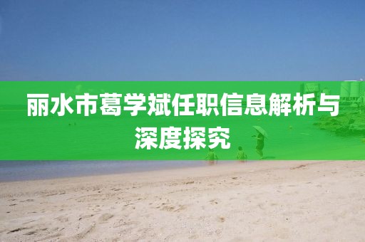 丽水市葛学斌任职信息解析与深度探究