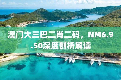 澳门大三巴二肖二码，NM6.9.50深度剖析解读