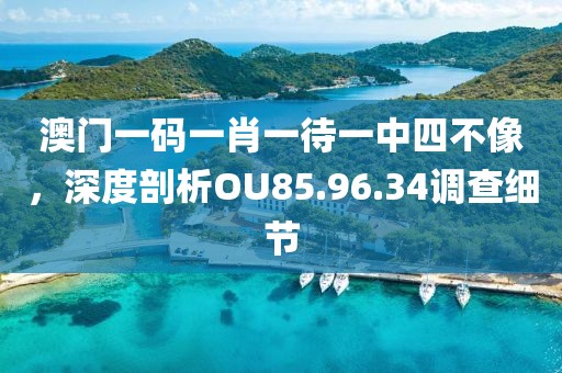 澳门一码一肖一待一中四不像，深度剖析OU85.96.34调查细节