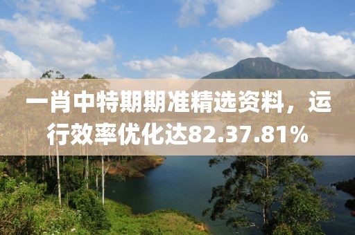 一肖中特期期准精选资料，运行效率优化达82.37.81%