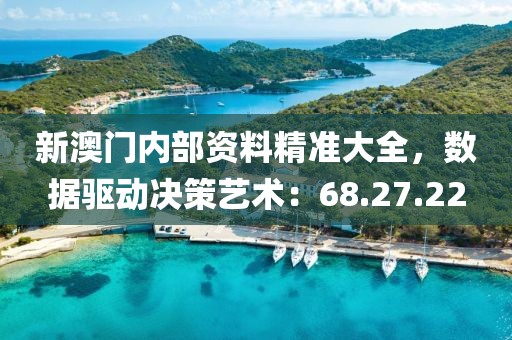 新澳门内部资料精准大全，数据驱动决策艺术：68.27.22