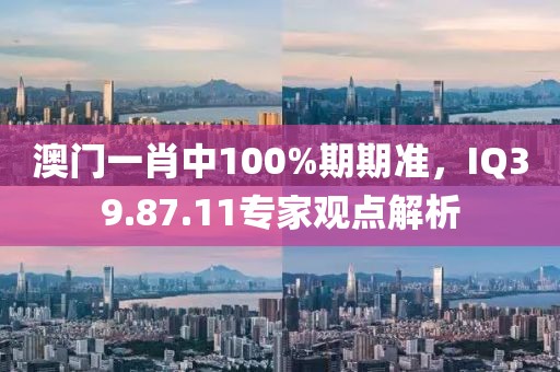 澳门一肖中100%期期准，IQ39.87.11专家观点解析