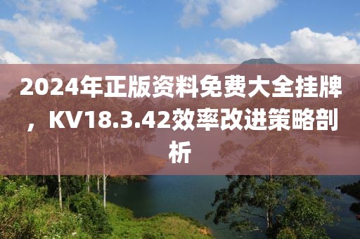 2024年正版资料免费大全挂牌，KV18.3.42效率改进策略剖析
