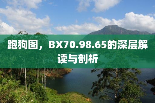 跑狗图，BX70.98.65的深层解读与剖析