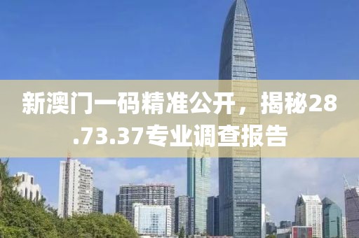 新澳门一码精准公开，揭秘28.73.37专业调查报告