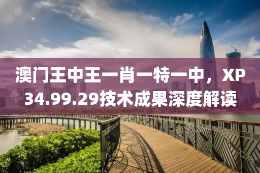 澳门王中王一肖一特一中，XP34.99.29技术成果深度解读