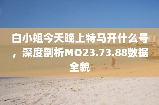 白小姐今天晚上特马开什么号，深度剖析MO23.73.88数据全貌