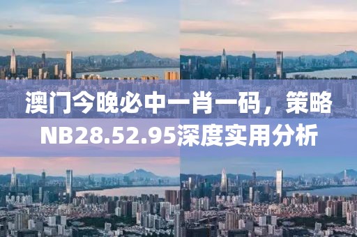 澳门今晚必中一肖一码，策略NB28.52.95深度实用分析